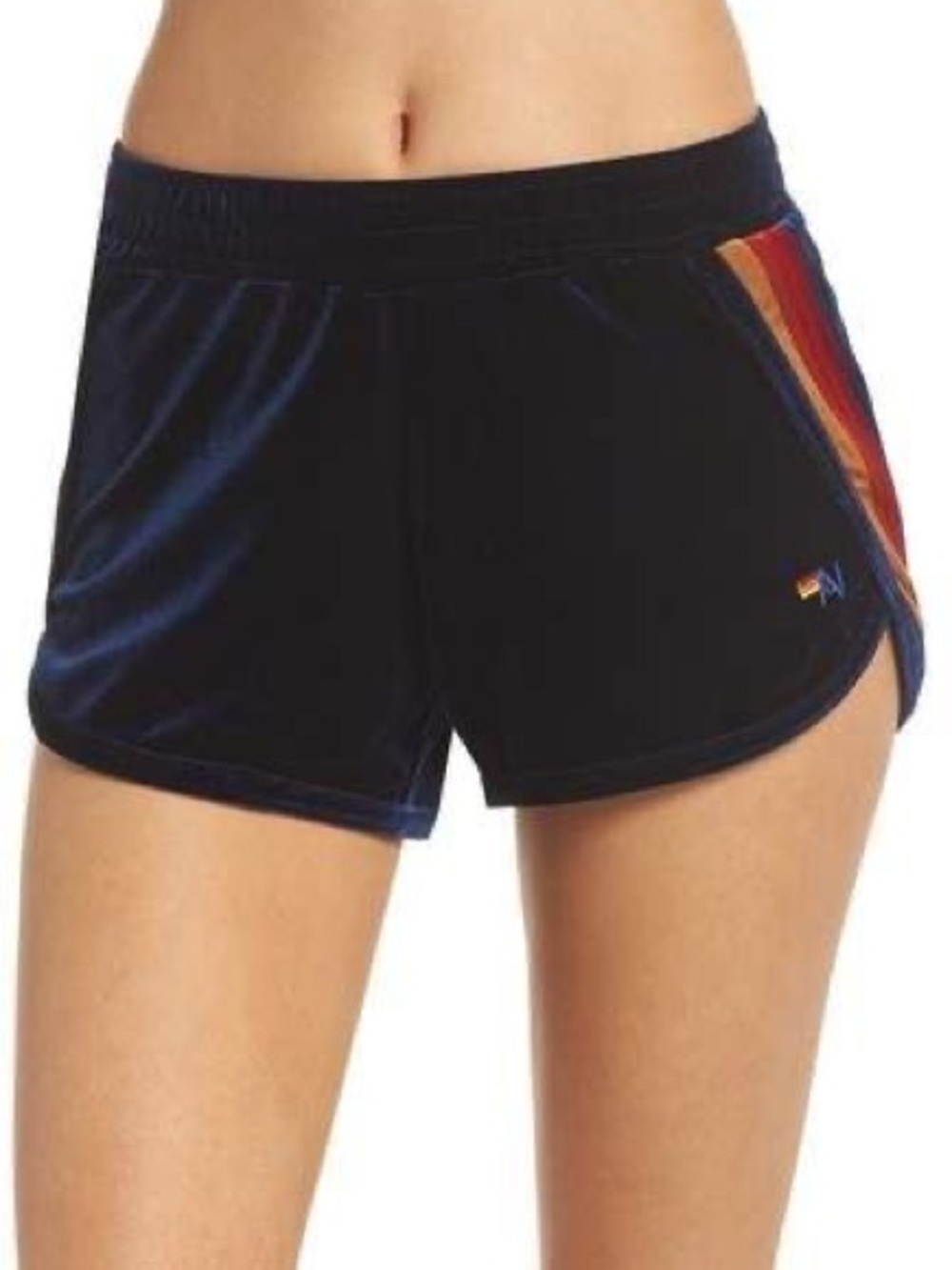 Aviator Nation Discontinued Velvet Shorts